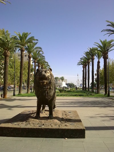 Photos of avenue Hassan II Garden