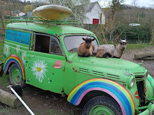 Photo n°36 de Paradis aquatique à Douvrend (Zoo)