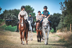 Photo n°2 de Centre Equestre Poney-Club de Vaison à Vaison-la-Romaine (Pension pour chevaux)
