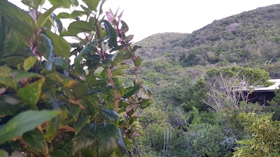 Photos of Punta West Bed & Breakfast+