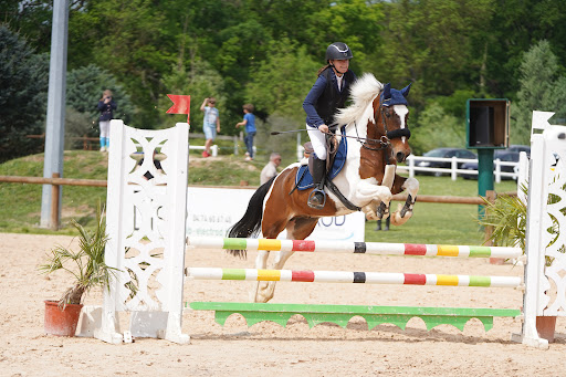 Centre Equestre Neuville Les Dames - Thumbnail