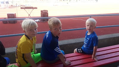 Photos of Sankariniemen stadion
