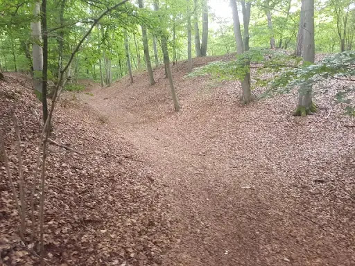 Burgstall Hunberg - Thumbnail