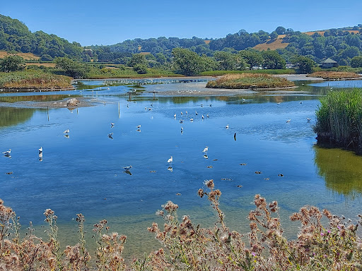 Island Hide - Visual
