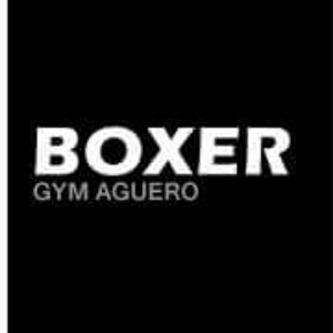 Boxer Gym, Author: Boxer Gym