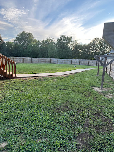Dog Country - Thumbnail