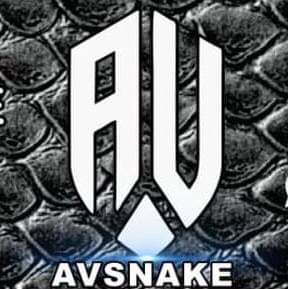 AVSNAKE - Visual