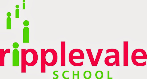 Ripplevale School - Visual