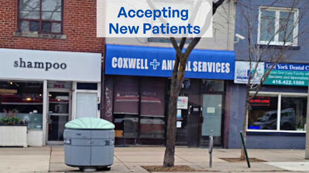 Coxwell Animal Clinic