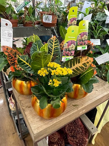 Central Market Floral - Thumbnail