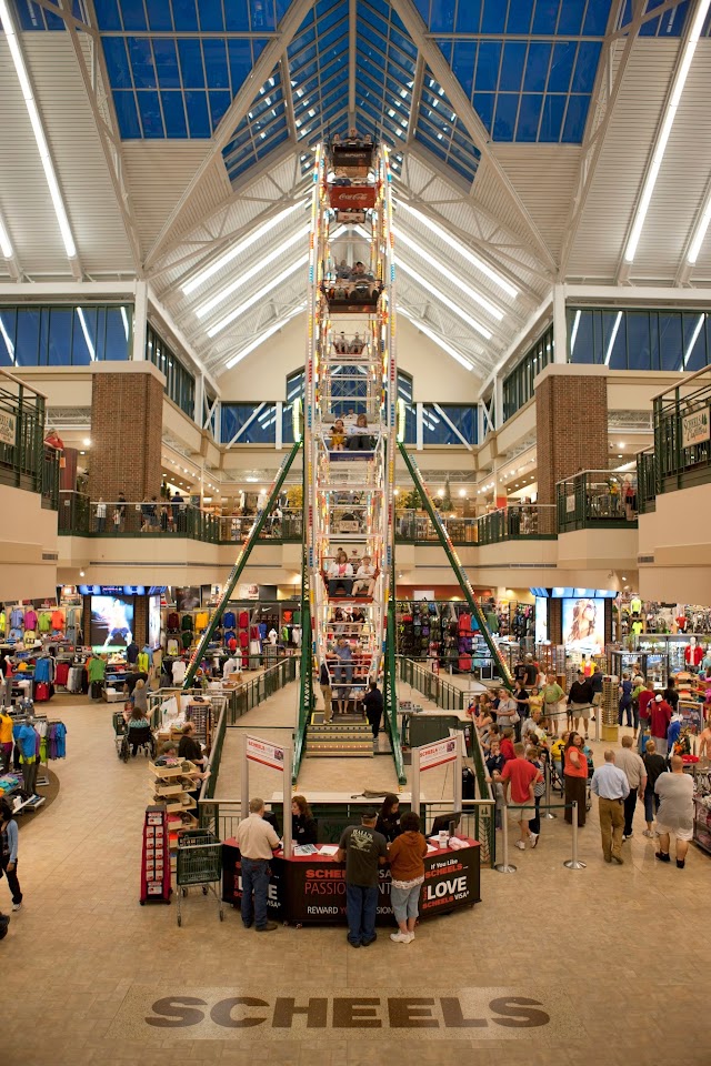 Scheels