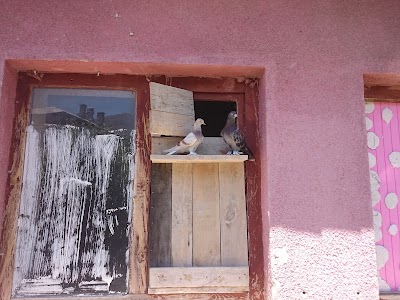 Photos of Toraman İlkokulu
