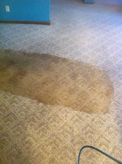 On The Spot Carpet Cleaning