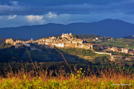 Amelia Online - Notizie Eventi Alloggi Gallery - Italy
