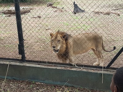zoo
