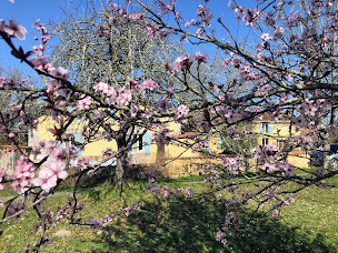 Photo n°36 de Le Pommier Gites à Ribérac (Maison de vacances)