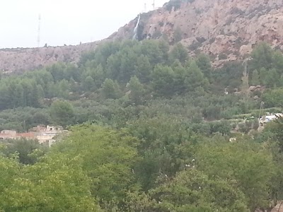 Photos of حديقة