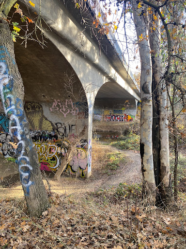 Putah Creek Riparian Reserve - Thumbnail