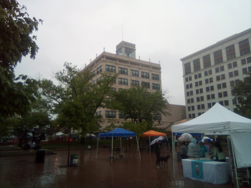 Springfield Business Journal Gallery - United States