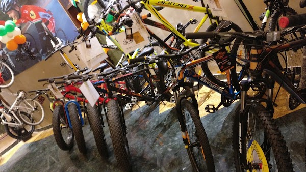 Cycle stores in Udaipur