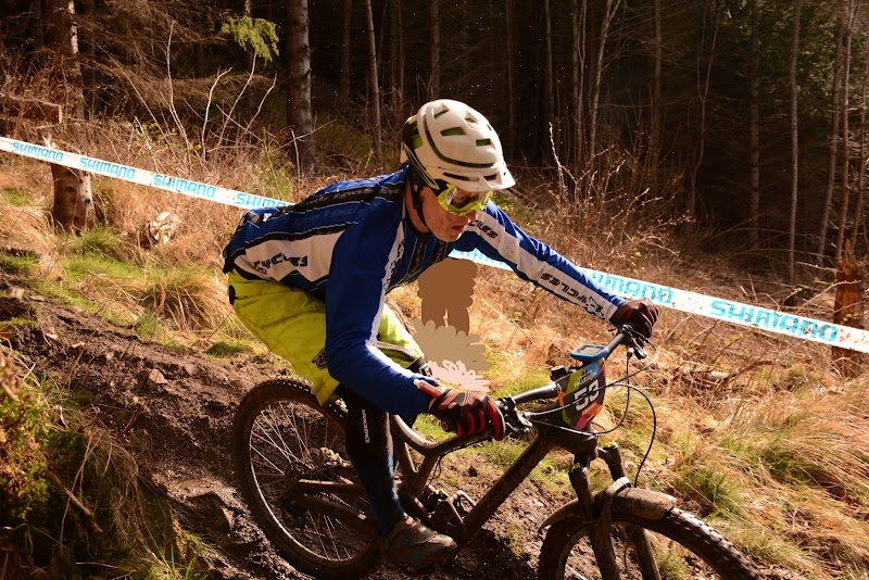 I-Cycles photo 3