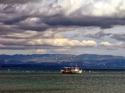 photo of Λακωνικό Ωδείο