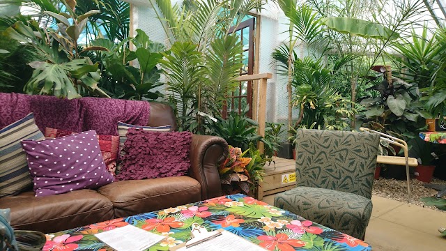 Urban Jungle Plant Nursery and Cafe