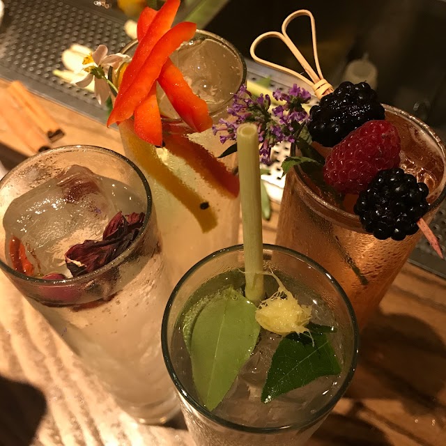 Dr. Fern's Gin Parlour