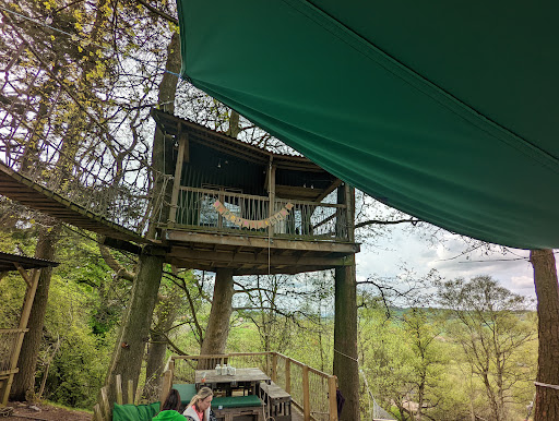 Copse Camp - Visual