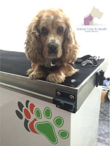 Hospital Veterinario Animal Care and Health