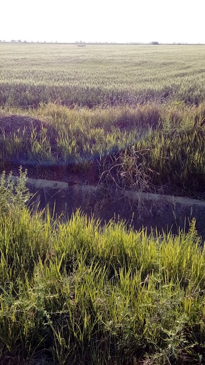 Photos of Arıbaşlar Tarım Ve Hayvancılık
