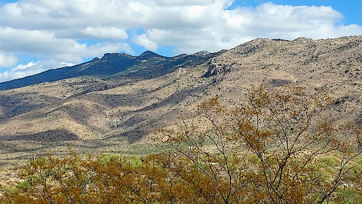 Cactus Forest Drive Parking Lot