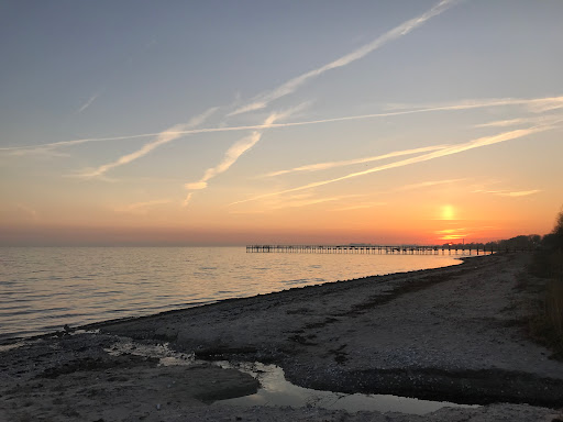 Hundbadplats Trelleborg - Thumbnail