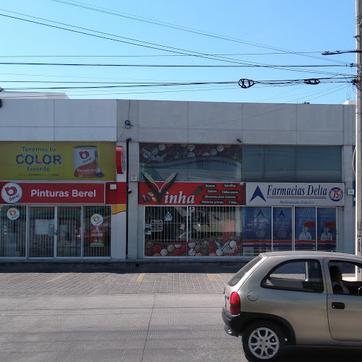 Vinha - Visual