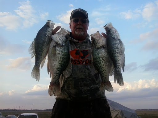 lithiafishingguide.com - Visual