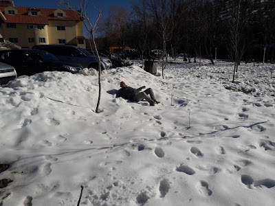Photos of Shell
