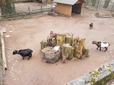 Photos of Suhl Zoo