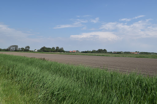 d'Onlanden
