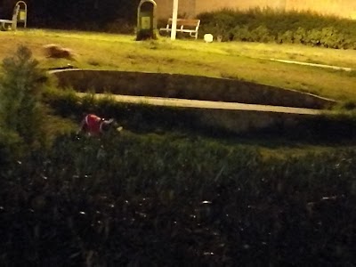 park