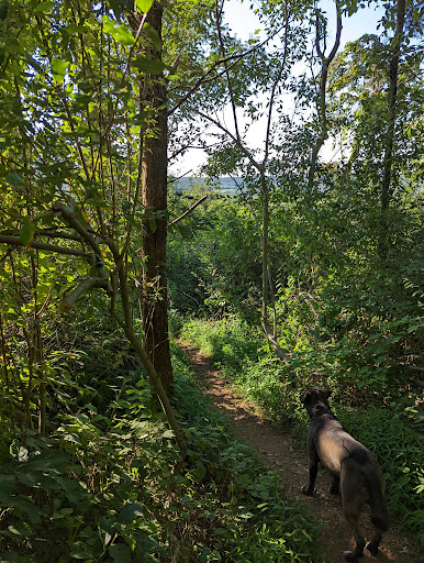 Baldpate Mountain - Thumbnail