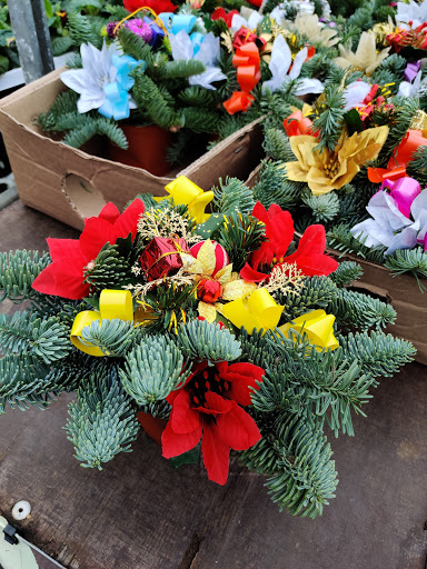 GBR Wholesale Flowers