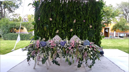 Escencia floral - Thumbnail