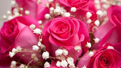 Photos of Stephenson's Flowers & Gifts