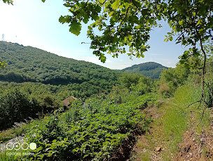 Photo n°12 de Ferme du Bosc à Viala-du-Tarn (Gîte)