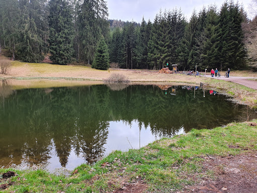 Dreisbachtal Teich - Thumbnail