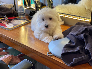 Photo n°28 de Carré N5 à Saint-Briac-sur-Mer (Salon de coiffure)