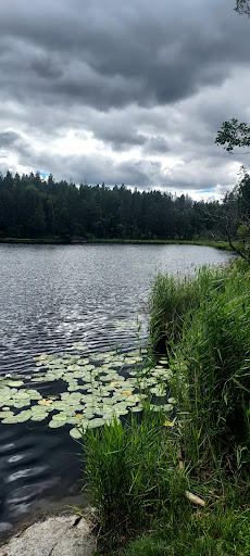 Barnvagnsslingan 5km Tyresta