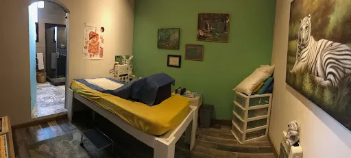 San Miguel de Allende Colon Hydrotherapy