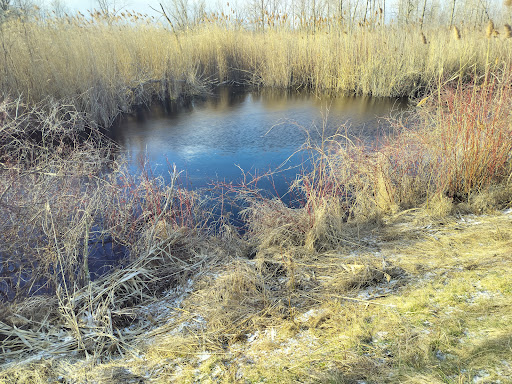 Joseph M Soehnel Nature Trail Gallery - United States