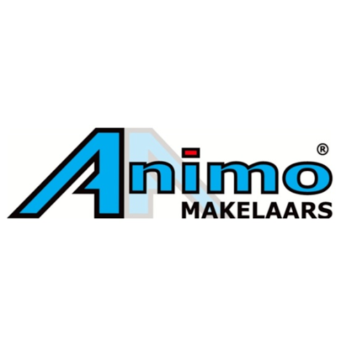 Animo Makelaars - Visual